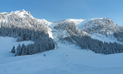 Ski.2015