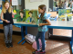 Ausstellung