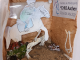 Reiten