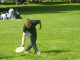 Frisbee