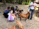 Wir.Tierpark